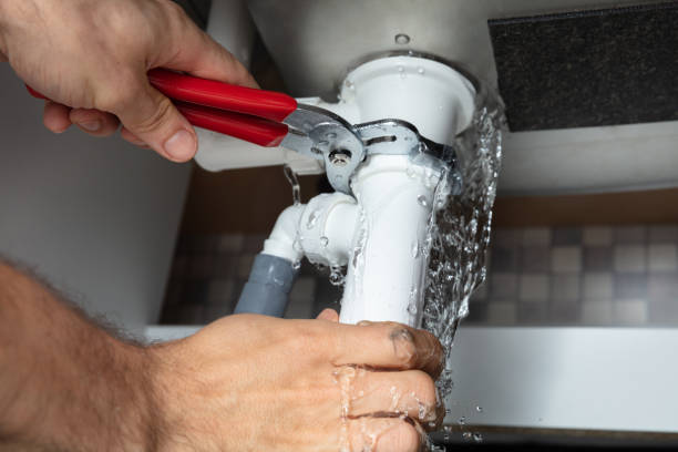 Best Fire Damage Restoration  in Stromsburg, NE