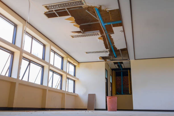 Best Water damage restoration near me  in Stromsburg, NE