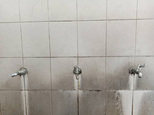 Best Water damage restoration mold remediation  in Stromsburg, NE